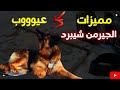 مميزات وعيوب الكلب الجيرمن شيبرد 