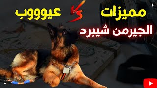 مميزات وعيوب الكلب الجيرمن شيبرد