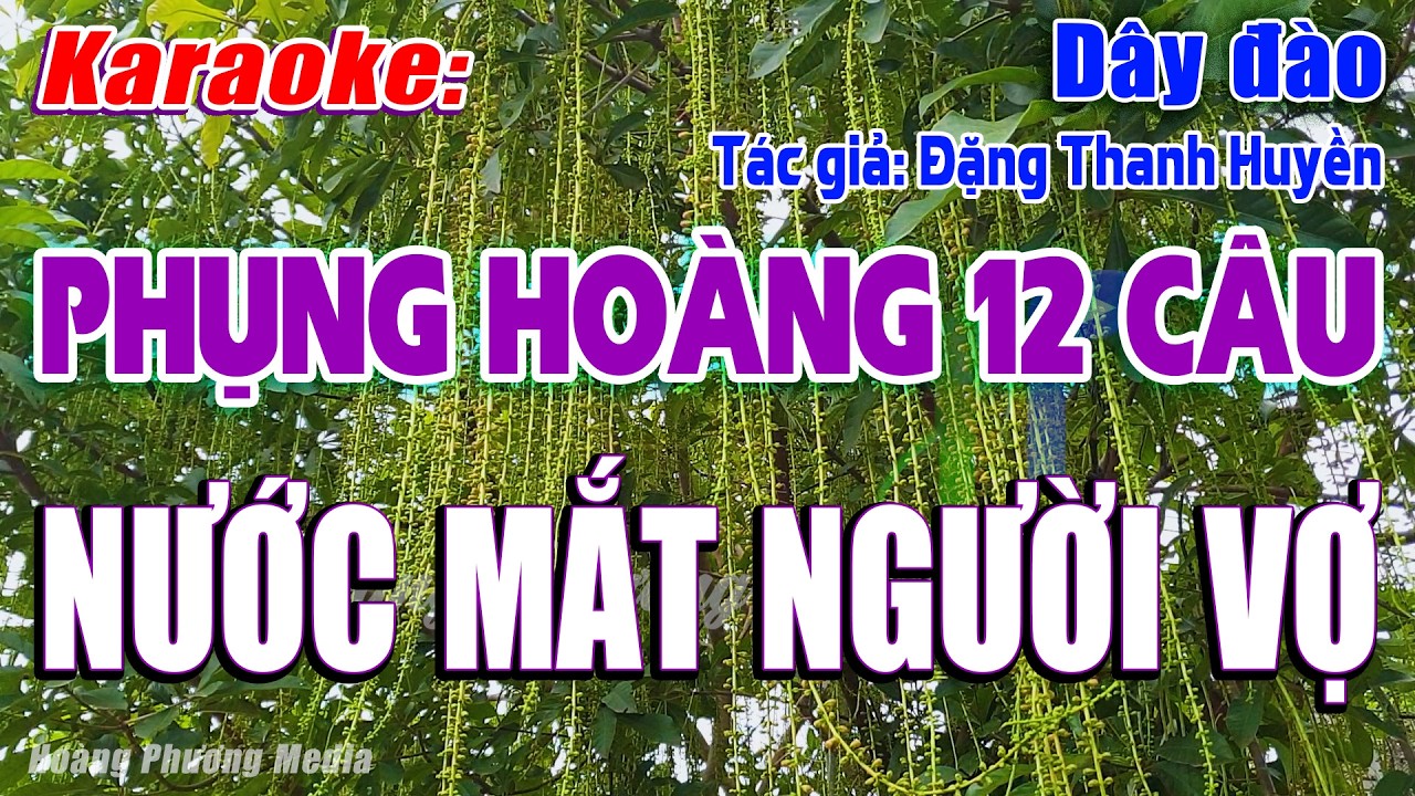 Karaoke Phụng hoàng 12 câu Dây đào | Nước Mắt Người Vợ, Beat Mùi, Dở Ẹc, Dễ Hát – Hoàng Phương Media