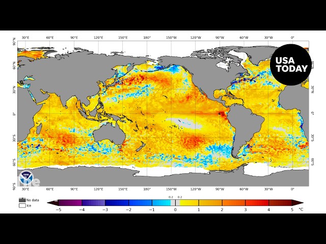 Video: Is El Niño about to reshape the Pacific again? | The Excerpt
