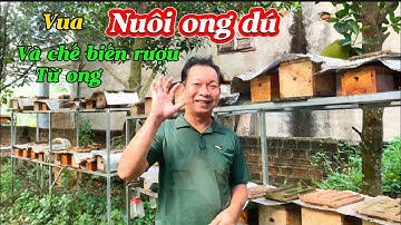 Thầy giáo này là ông vua nuôi ong dú và chế biến rượu từ ong số 1 thế giới-@Bayxunau
