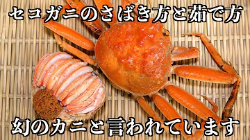 ズワイガニ頭食べ方 ズワイガニ頭食べ方