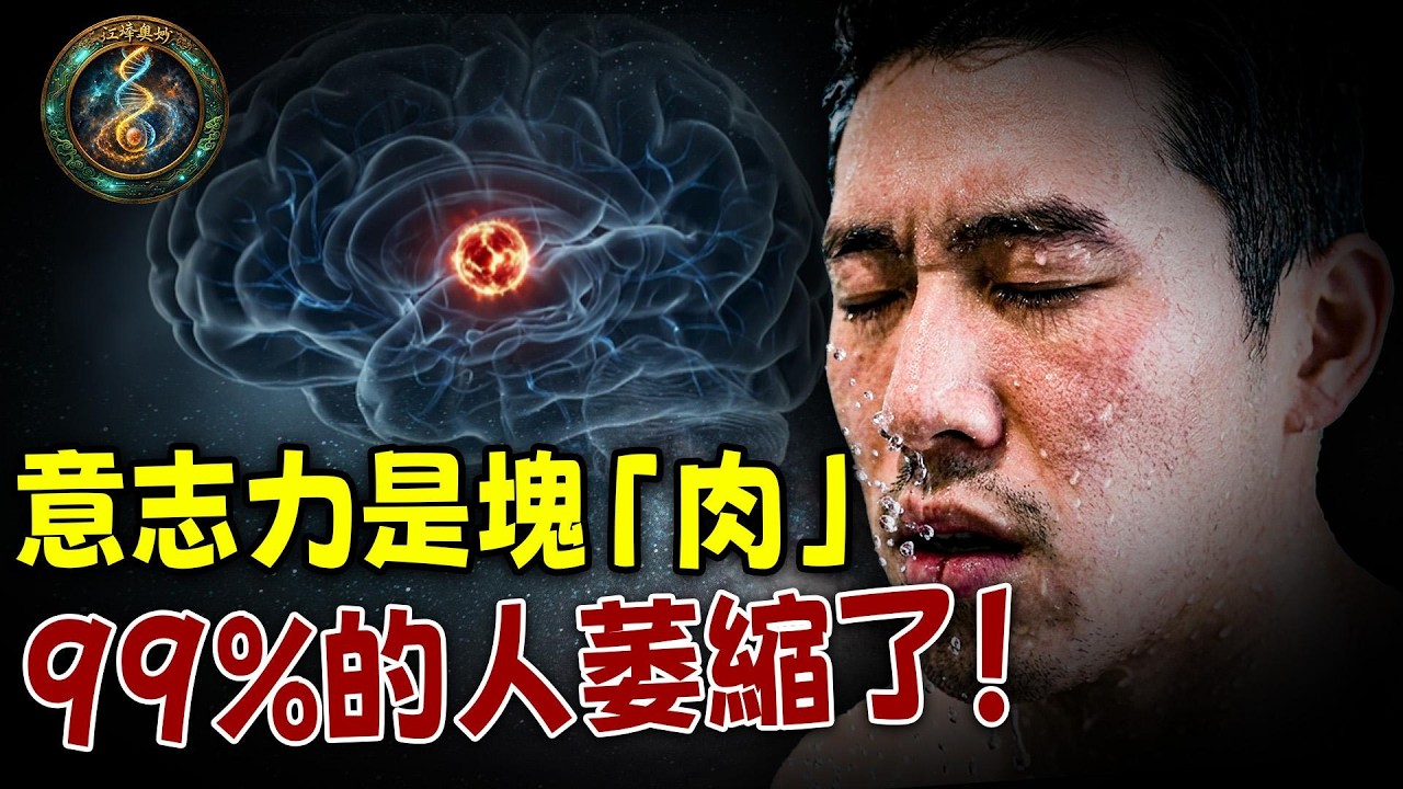意志力竟然是一塊「肉」？斯坦福揭秘：每天只需30秒「受苦」，就能讓你的大腦重新「長」回來！【江峰奧妙20260309第84期】
