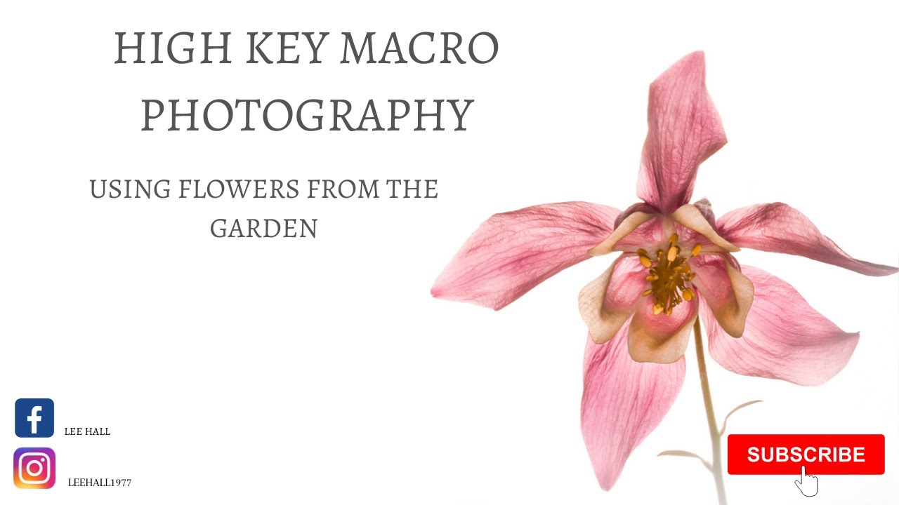 High key macro photography using flowers. YouTube