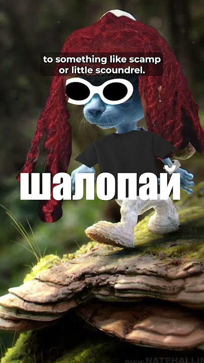 What Does 'Шайлушай' Mean? The Russian 'Smurf Cat' Meme Taking