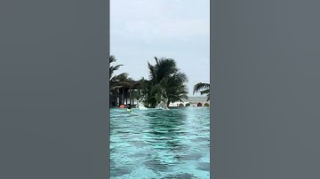 Trãi nghiệm hồ bơi lớn nhất TP Vũng Tàu - Hồ bơi khoáng The Maris