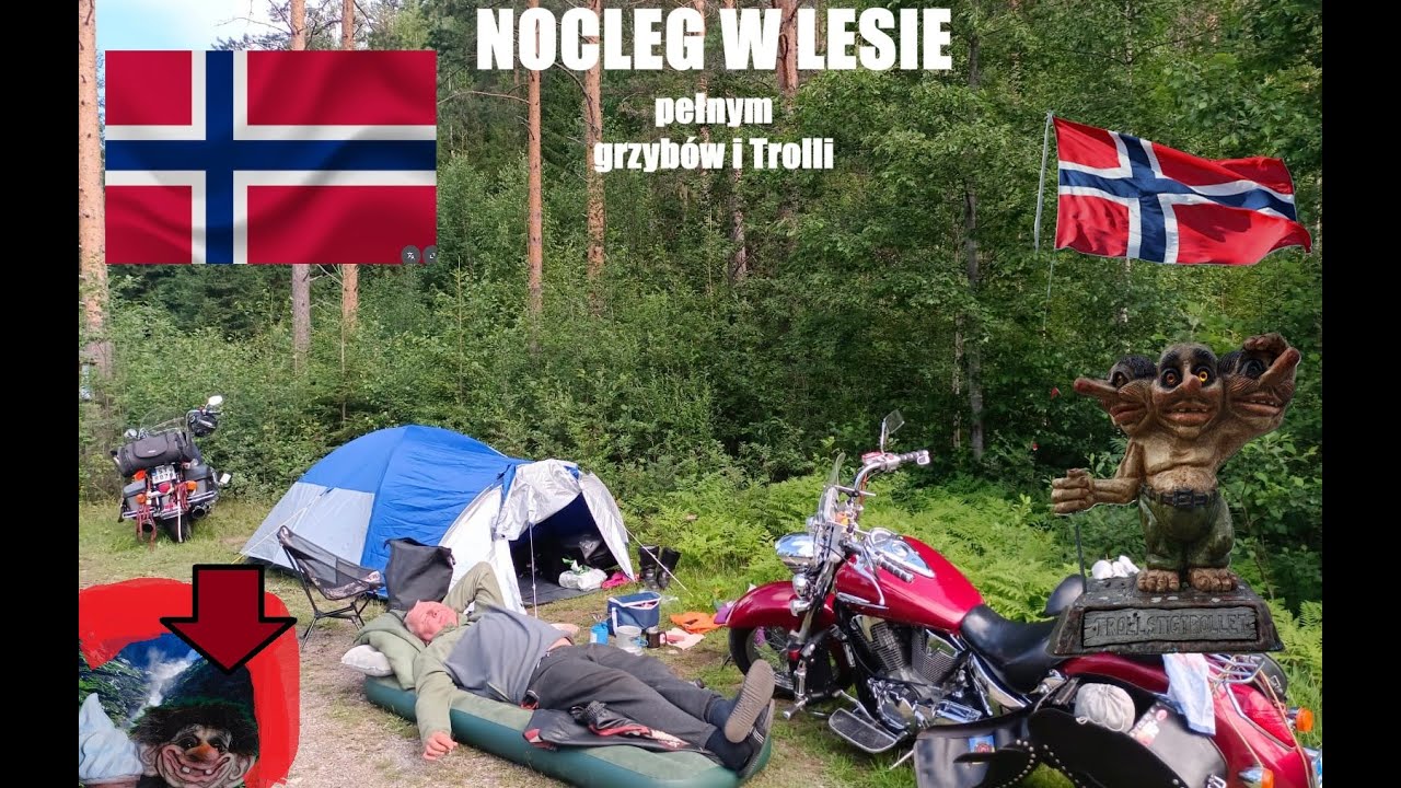 Norwegia nocleg w lesie