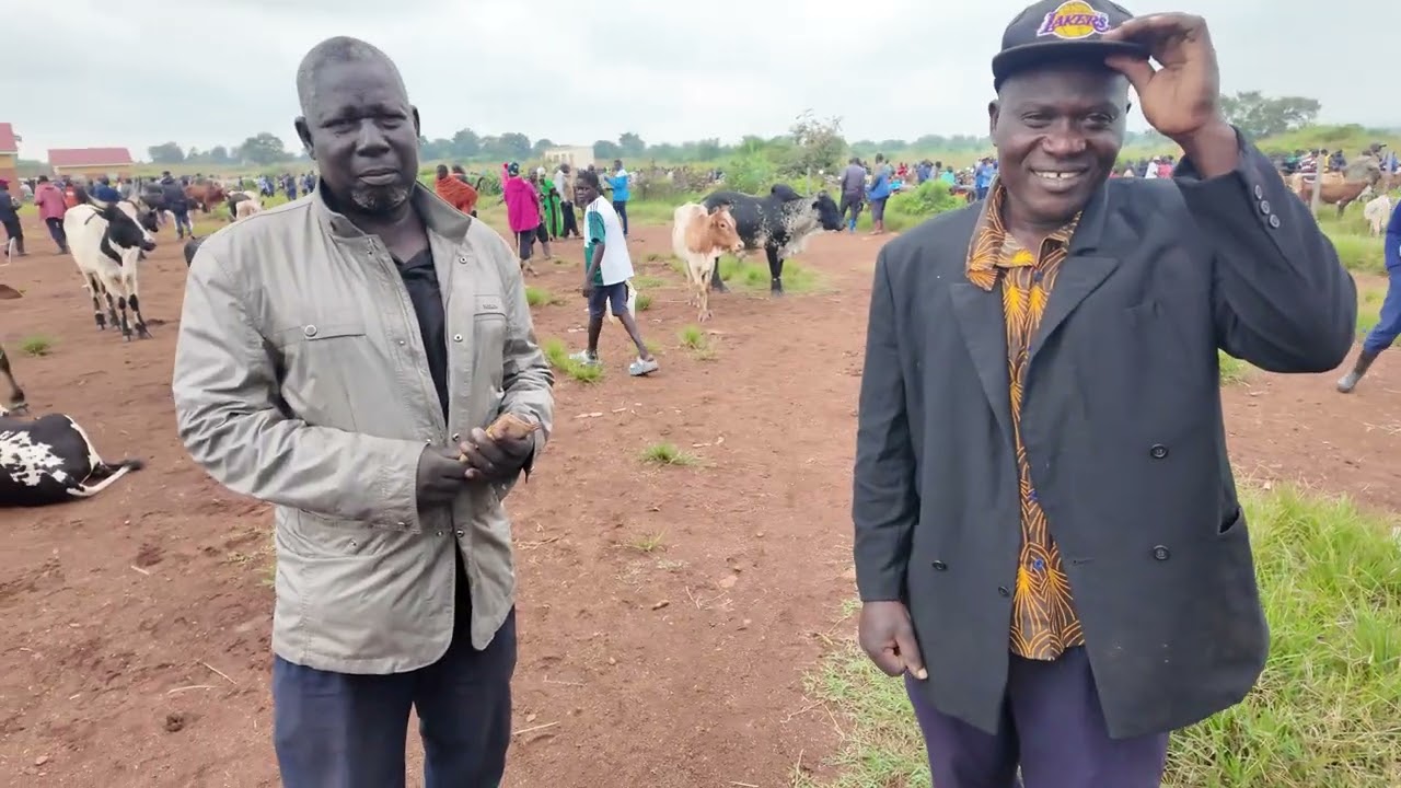 উগান্ডার গরুর বাজারে ঘুরছি 🇺🇬 | Uganda Village Weekly Hut
