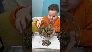 اعملوها هتشبعوا وكلها مضاد حيوي #food #كوميديات #cooking #funny #shorts