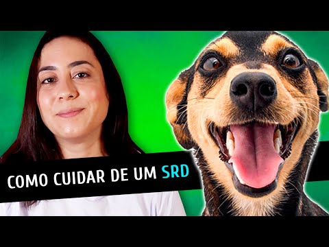 Vídeo: Receita do deleite do cão da manteiga de amêndoa