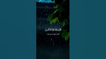 الشيخ محمود يوسف يتألق في تلاوة ما تيسر من سورة الذاريات❤️🎧 #هل_اتاك_حديث_ضيف_ابراهيم_المكرمين #قران