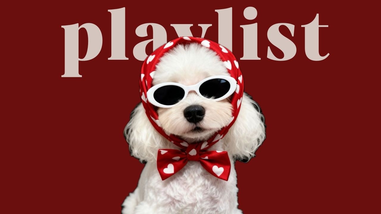 Playlist 🎧 Бабочки в животе с первых нот 🎒 | Настроение марта | Sway Groove