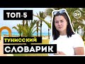 ТОП-5 тунисских слов. Как выучить местный язык. Лайфхаки для отпуска. Хаммамет, Тунис 2019, 0+