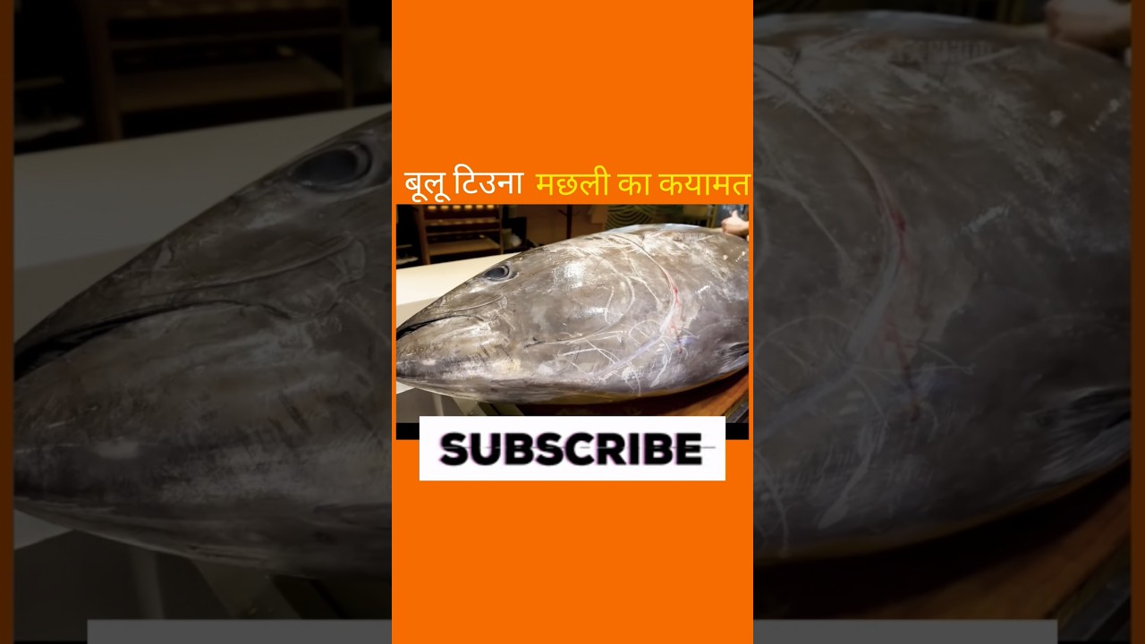 ब्लू टिना मछली का कयामत 😱 #aivideo #fish #shortvideo #facts #shortsfeed #fishing #youtubeshorts