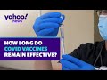 How long do the COVID-19 vaccines remain effective? | Yahoo News Explains