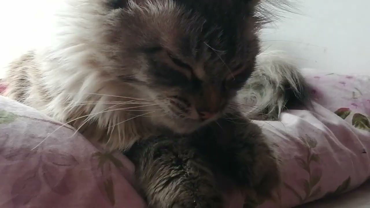 18 февраля 2026 г._Сбербанк 2202203654418625 Елена К. Kaspi +7 771 194 42 69 Глеб Т.