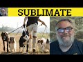  sublimate meaning  sublimation examples  define sublimate  psychology  sublimate