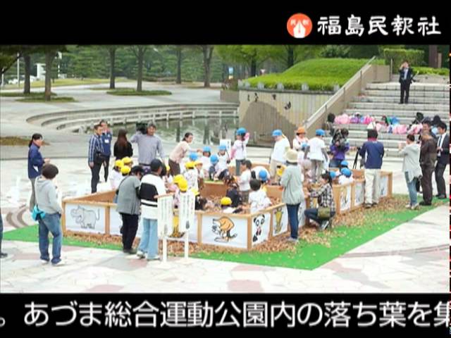 落ち葉のプール
