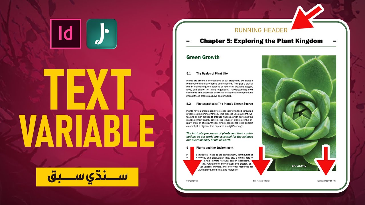 Create and edit InDesign Text Variable [Sindhi/سنڌي]