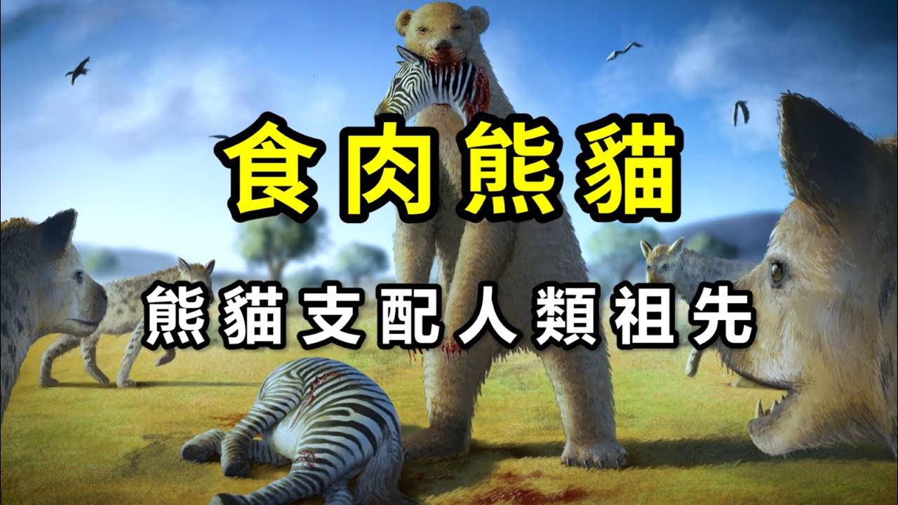 當熊貓大殺四方：古代熊貓在非洲捕食人類祖先