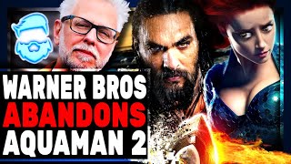 Disaster As Aquaman 2 ABANDONDED By Warner Brothers & Amber Heard Situation Makes Things Much WORSE
