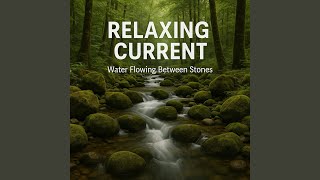 Relaxing Current, Natural Melody of the River