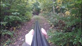 Lov na lisicu - Fox Hunting 6 🦊 screenshot 5