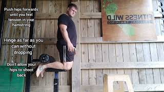 Nordic Curl Hip Hinge Instructional