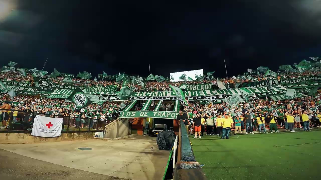 Mix Los Del Sur 🎵🎶 | Atl Nacional vs Equidad 19/07/2025