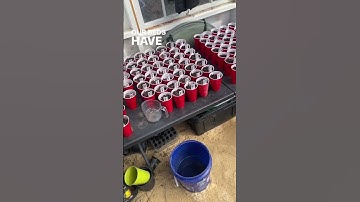 No need to buy potting soil again! | Garden tips & tricks #greenhouse #homestead