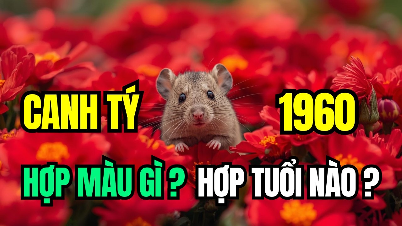 Tuổi Canh Tý 1960, Mạng Bích Thượng Thổ, Hợp Màu Nào, Kỵ Màu Nào. Theo Tam Hợp, Lục Hợp Tứ Hành Xung