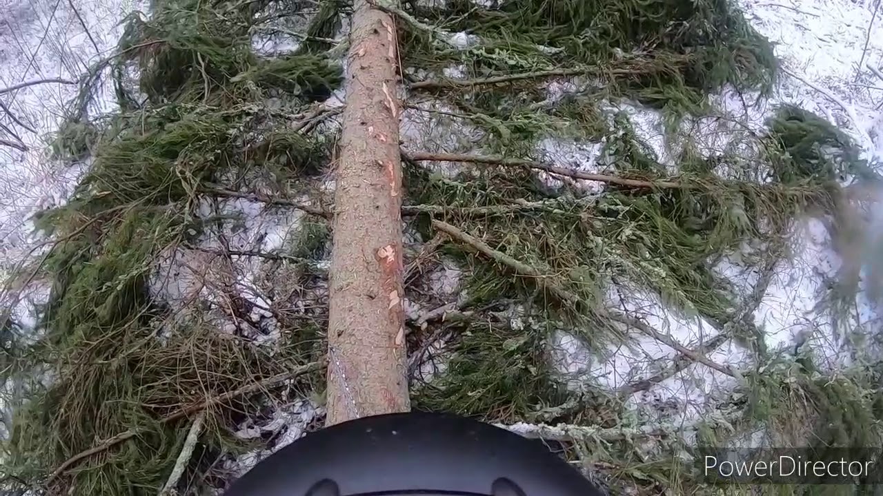 Hypro 450 XL, suojuspuuhakkuulla