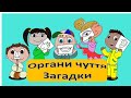 Загадки. Органи чуття