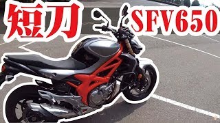 台灣最入門的紅牌重機教練車Suzuki SFV 650