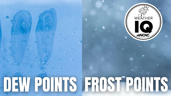 Weather IQ: Explaining dew points and frost points