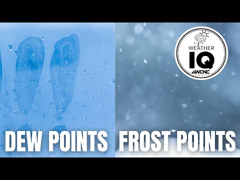 วีดีโอ: Frost ทำให้เกิดสภาพดินฟ้าอากาศได้อย่างไร?