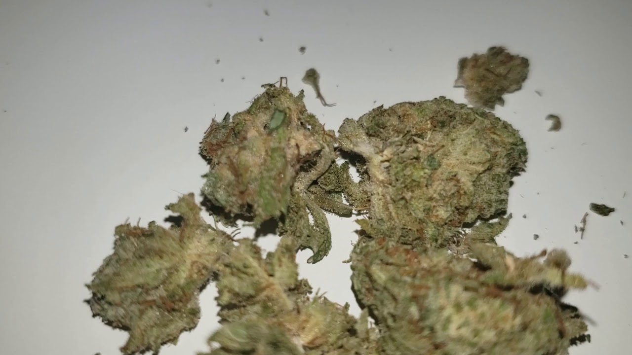 STRAIN REVIEW 065: pink gorilla AAA - Lowpricebud