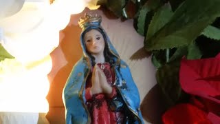 5 frases de aliento de la Virgen de Guadalupe