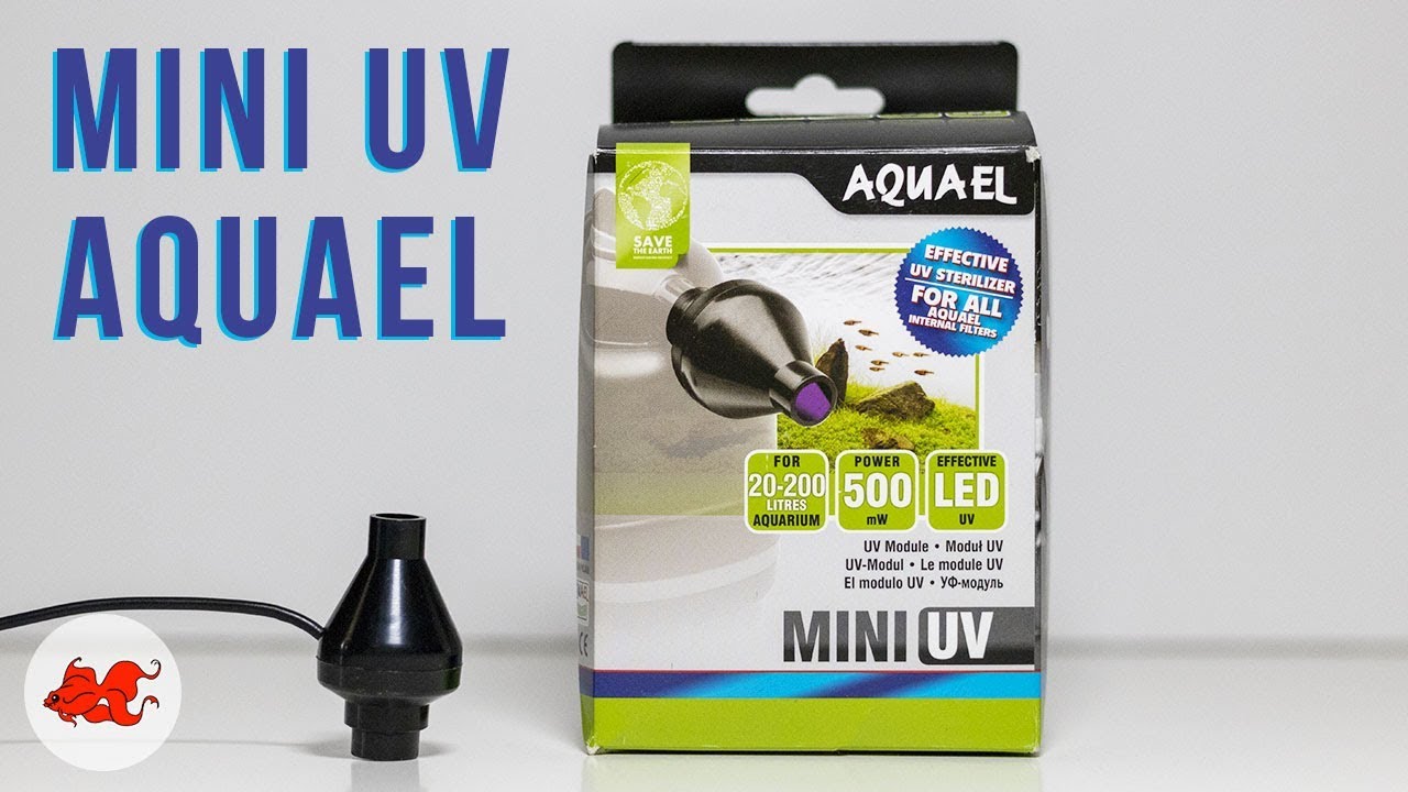 Test Mini UV Aquael -