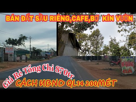 Bán vườn Sầu Riêng Cafe Bơ trồng kín vườn,cách QL14 UBND khu dân cư đông đúc 200m Giá Tổng 870tr