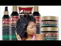 MANE CHOICE DO IT FRO THE CULTURE ON 4C HAIR | HONEST REVIEW | KANDIDKINKS