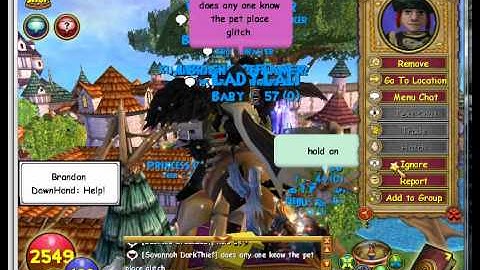 Wizard101 Flying Commons Glitch