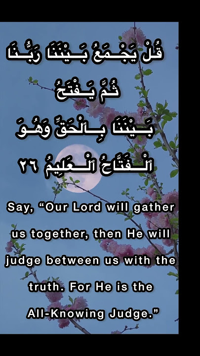 Surah Saba Ayat 26 #shorts #quran #fatihseferagic