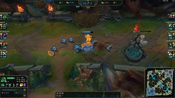 Is yi really zac counter?