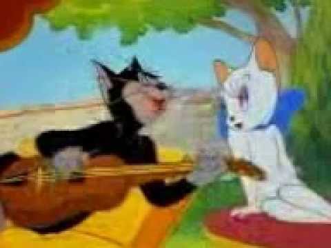 Kedi Kürtçe Şarkı Söylerse -tom ve jerry-