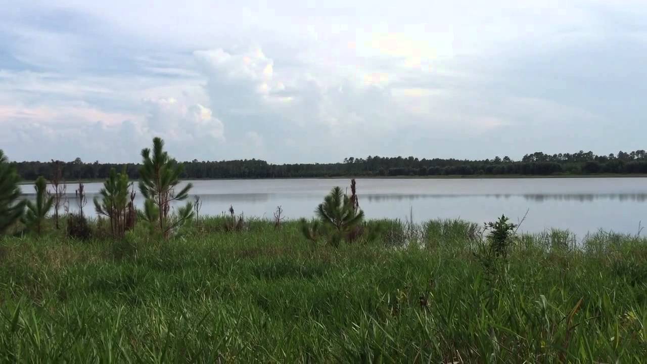 indian mounds in florida Indian Lake at Tiger Bay State Forest