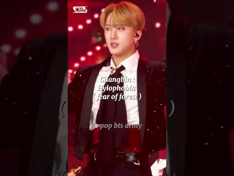 Phobia S Of Stray Kids Members Skz Felix Chan Han Hyunjin Leeknown I N Seungmin Phobia 