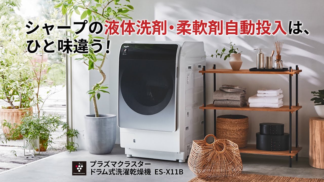 SHARP ドラム式洗濯乾燥機 - 千葉県の家具