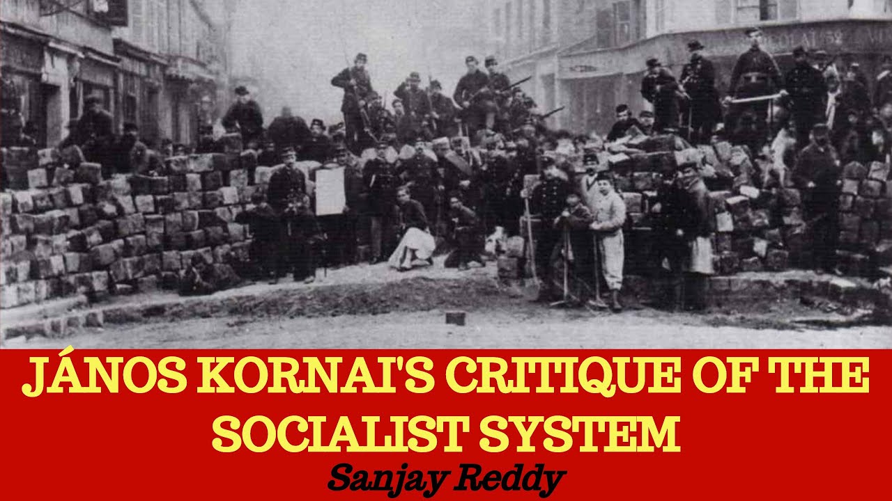 János Kornai&#39;s Critique of the Socialist System&quot; with Sanjay G. Reddy - YouTube