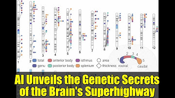 AI Unveils the Genetic Secrets of the Brain